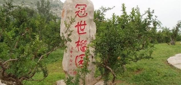 枣庄冠世石榴园