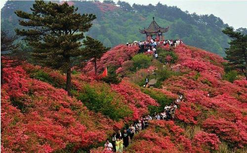 阳明山