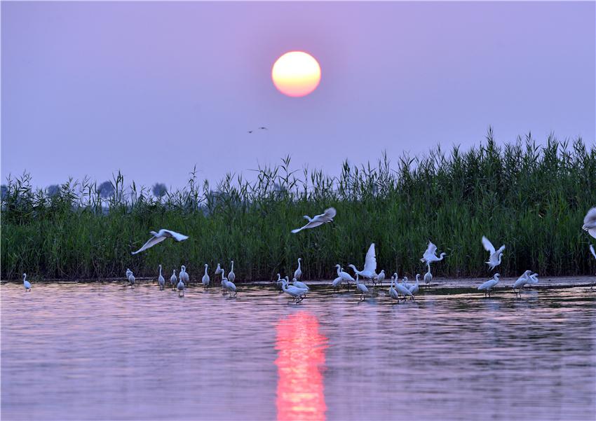 河北衡水湖