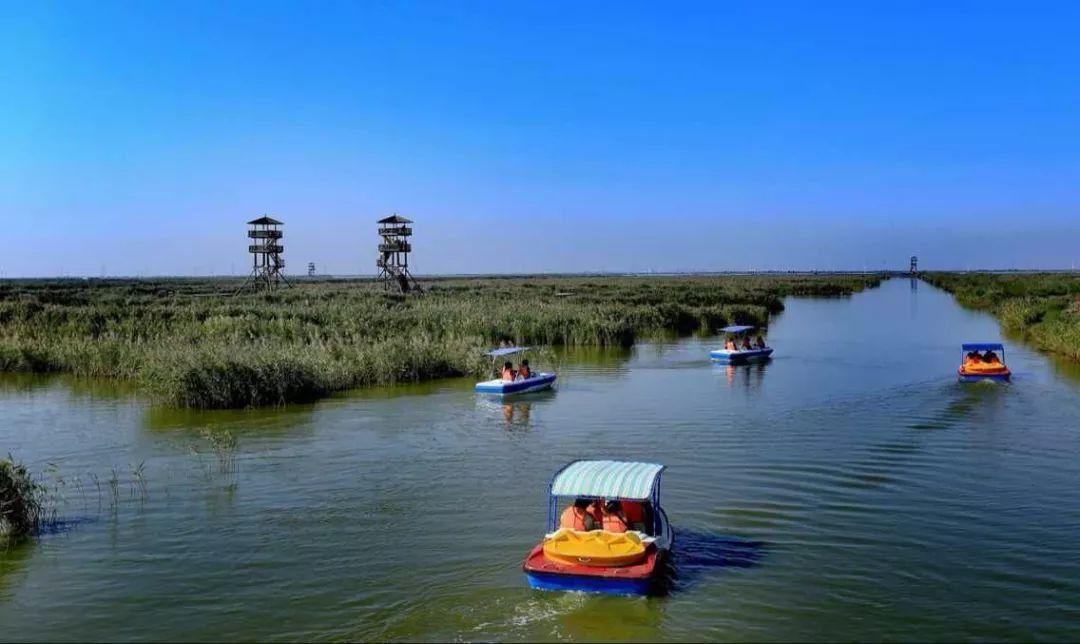 曹妃甸湿地景区