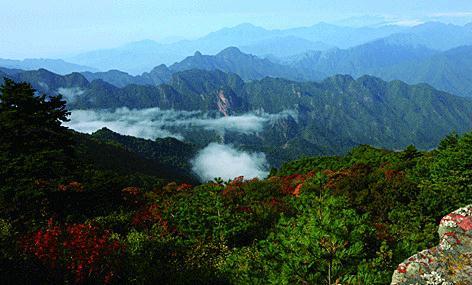 历山国家自然保护区