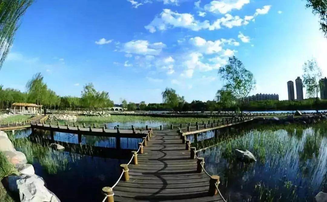 胜溪湖森林公园