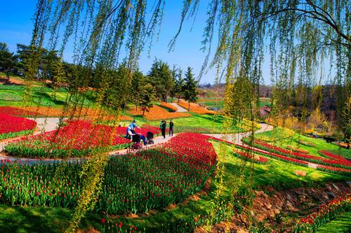 大连英歌石植物园