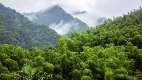 古田山自然保护区