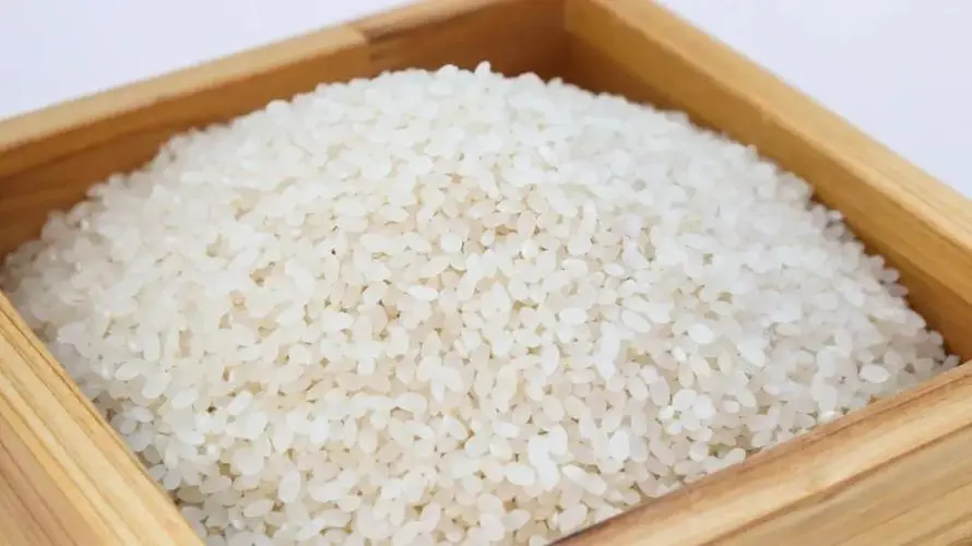 夹沟香稻米